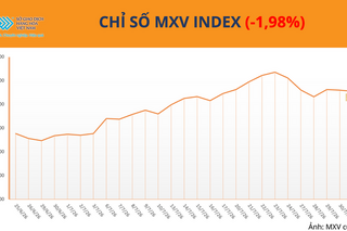 Giá đậu tương giảm hơn 5% khi thời tiết Mỹ thuận lợi trở lại