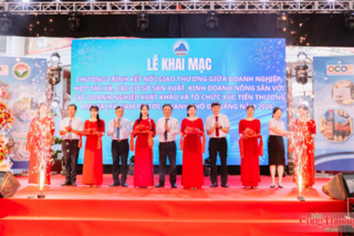 Đà Nẵng: Kết nối giao thương, tìm kiếm cơ hội xuất khẩu cho nông sản