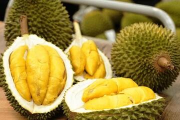 Xuất khẩu sầu riêng ‘bớt nóng’