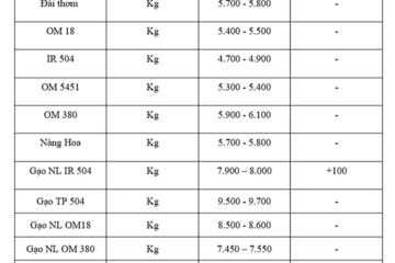 Giá lúa gạo hôm nay ngày 16/9: Gạo xuất khẩu tăng, lúa chững giá
