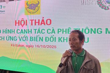 Canh tác cà phê thông minh - Giải pháp "vàng" cho nông dân Tây Nguyên