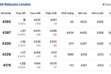 Giá cà phê hôm nay 14/11/2025: Thị trường lao dốc