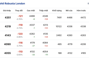 Giá cà phê hôm nay 3/12/2025: Giảm sâu 4.000 đồng/kg