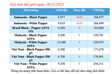 Giá tiêu hôm nay 18/12/2025: Cao nhất 150.000 đồng/kg