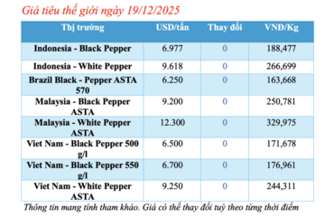 Giá tiêu hôm nay 19/12/2025: Giảm mạnh 1.500 đồng/kg
