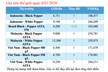Giá tiêu hôm nay 8/1/2026: Trong nước đi ngang