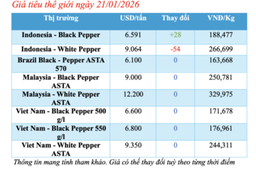 Giá tiêu hôm nay 21/1/2026: Giữ đà ổn định