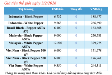 Giá tiêu hôm nay 3/2/2026: Cao nhất 152.000 đồng/kg