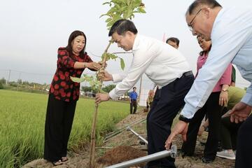 Cần Thơ phát động Tết trồng cây, kỳ vọng vụ lúa Đông Xuân thắng lợi