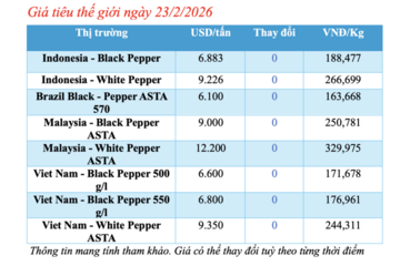 Giá tiêu hôm nay 23/2/2026: Bật tăng 1.000 đồng/kg