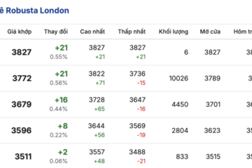 Giá cà phê hôm nay 9/3/2026: Đi ngang