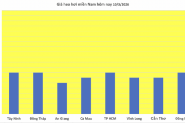 Giá heo hơi hôm nay 10/3/2026: Giảm đồng loạt tại miền Trung
