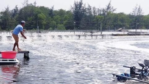Muốn bền vững, hãy nhìn từ thực tế