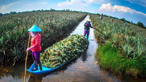 Nỗ lực khơi thông nguồn cung nông sản