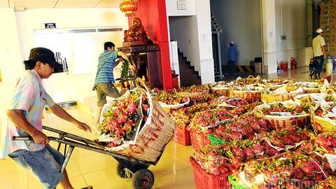 Xuất khẩu nông sản, thuỷ sản sang Hà Lan: Giải bài toán cạnh tranh về giá
