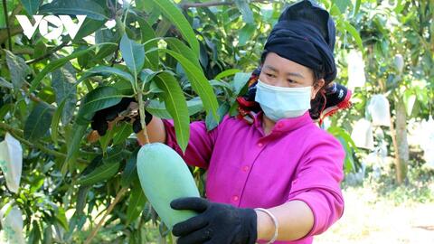 Nông sản lên “sàn” - tín hiệu mới trong chuyển đổi số nông nghiệp