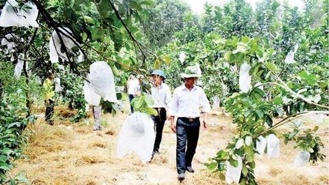 Tăng thương hiệu, mở rộng thị trường
