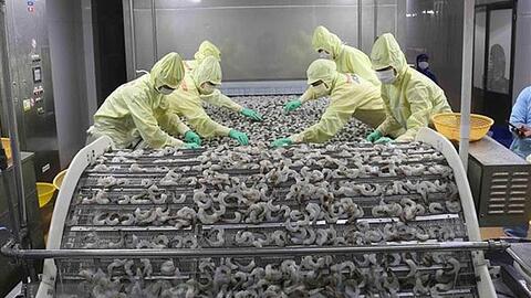 Kịch bản nào cho tình hình xuất khẩu thủy sản sau tháng 9