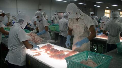 Xuất khẩu thủy sản: “Điểm sáng” thị trường Mexico, Tây Ban Nha
