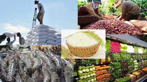 Thúc đẩy sản xuất, lưu thông, xuất khẩu nông sản