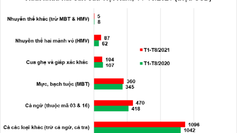 Xuất khẩu hải sản 8 tháng đầu năm 2021 đạt 2,1 tỷ USD