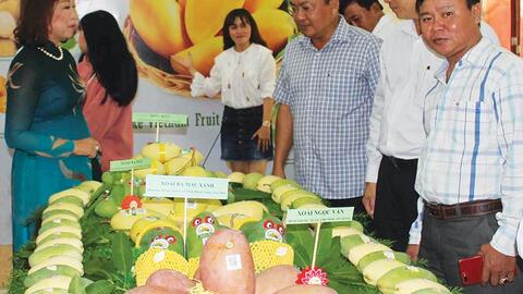 Xuất khẩu rau, quả sang Hoa Kỳ: Kiên trì tiếp cận thị trường