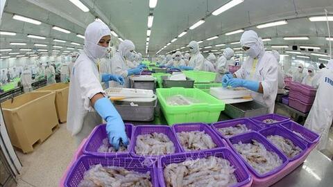 Ngành chế biến tôm giữ vững 'thành trì' xuất khẩu