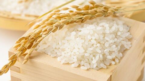 Giá lúa gạo hôm nay 3/12: Giá lúa ổn định, giá gạo xu hướng giảm