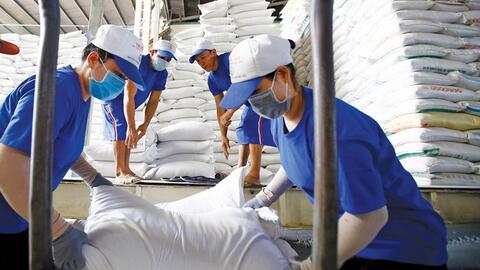 Xuất khẩu gạo sang Pháp: Còn nhiều dư địa