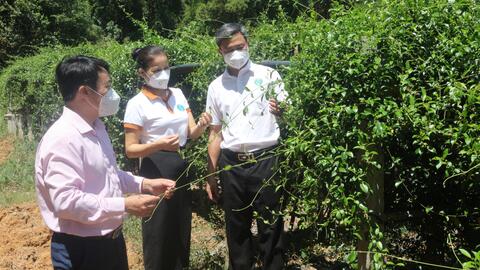 Nghệ An: Năm 2021, gần 70.000 đối tượng chính sách được cấp vốn tín dụng ưu đãi