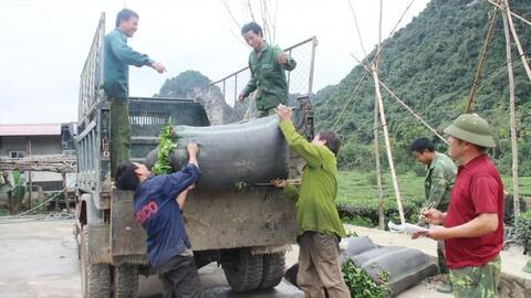 Nghệ An: Chè vụ Xuân rớt giá, vùng nguyên liệu đối diện nhiều khó khăn