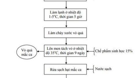 Nghiên cứu ứng dụng công nghệ sinh học để sản xuất một số loại thực phẩm và thức ăn chăn nuôi từ quả mắc ca