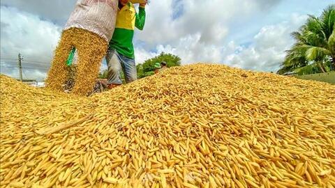 Cơ hội để nông sản Việt khẳng định vị thế trên thị trường toàn cầu
