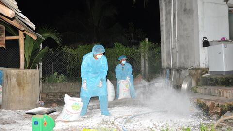 Tây Ninh triển khai Tháng tổng vệ sinh, khử trùng, tiêu độc môi trường phòng, chống dịch bệnh gia súc, gia cầm 