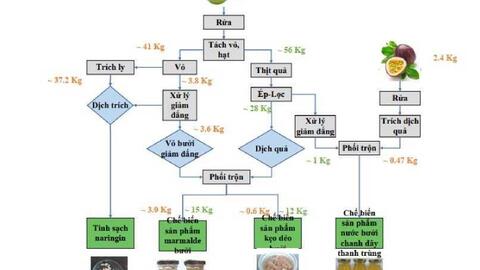Nghiên cứu phát triển và chế biến thử nghiệm các sản phẩm từ quả bưởi