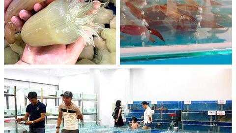 Cách chủ vựa, nhà hàng ở Nghệ An giữ hải sản 'tươi rói' phục vụ du khách