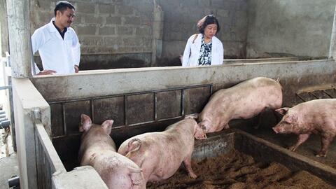 “Chăn nuôi Thú y thích ứng với bối cảnh mới: Thách thức lớn, cơ hội lớn”