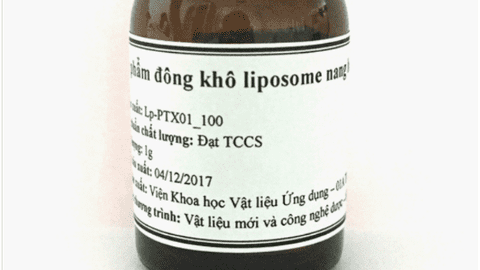 Tạo hạt nano mang thuốc chữa ung thư từ đậu nành