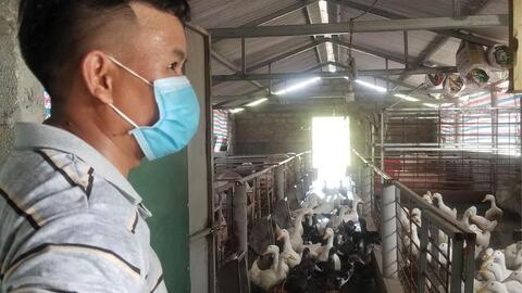 Chăn nuôi theo hướng an toàn, chất lượng