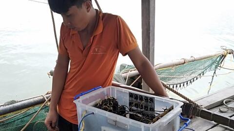 Nghệ An: Kiểm tra, xử phạt 5 tàu cá vi phạm