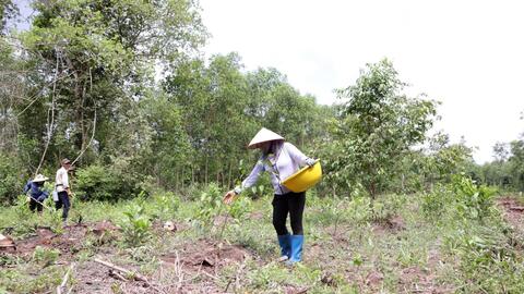 Từ cam kết đến hành động  Bài cuối: Vì mục tiêu phát triển bền vững 