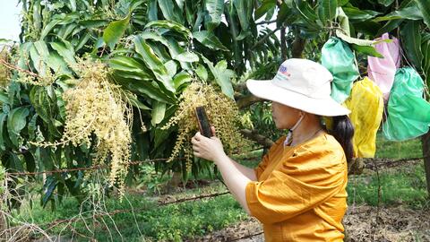 Đẩy mạnh hỗ trợ hợp tác xã do phụ nữ tham gia quản lý, tạo việc làm cho lao động nữ 