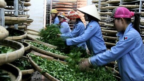 Phát triển chuỗi giá trị nông sản an toàn trong nông thôn mới