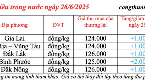 Giá tiêu hôm nay 26/6/2025: trong nước tăng trở lại