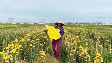 Phát huy Quỹ Hỗ trợ nông dân