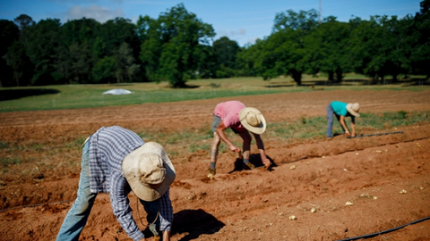 Kinh nghiệm từ Mỹ: Xây dựng trang trại lân cận phục vụ toàn bộ đô thị