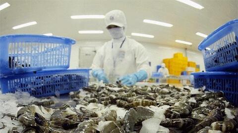 Từ câu chuyện của ngành tôm