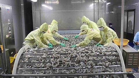 Kịch bản nào cho tình hình xuất khẩu thủy sản sau tháng 9