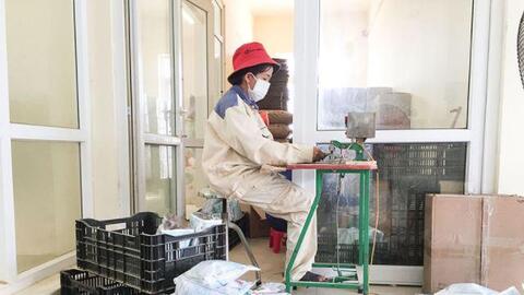 Quảng Trị ứng dụng công nghệ sinh học vào sản xuất nông nghiệp