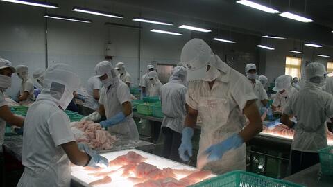 Xuất khẩu thủy sản: “Điểm sáng” thị trường Mexico, Tây Ban Nha